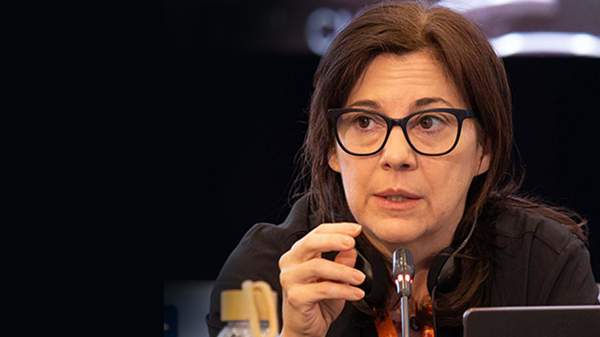 Pamela McElwee photo